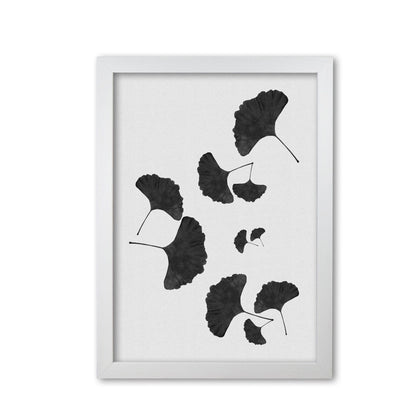 Ginkgo leaf black &#038; white i fine art print by orara studio