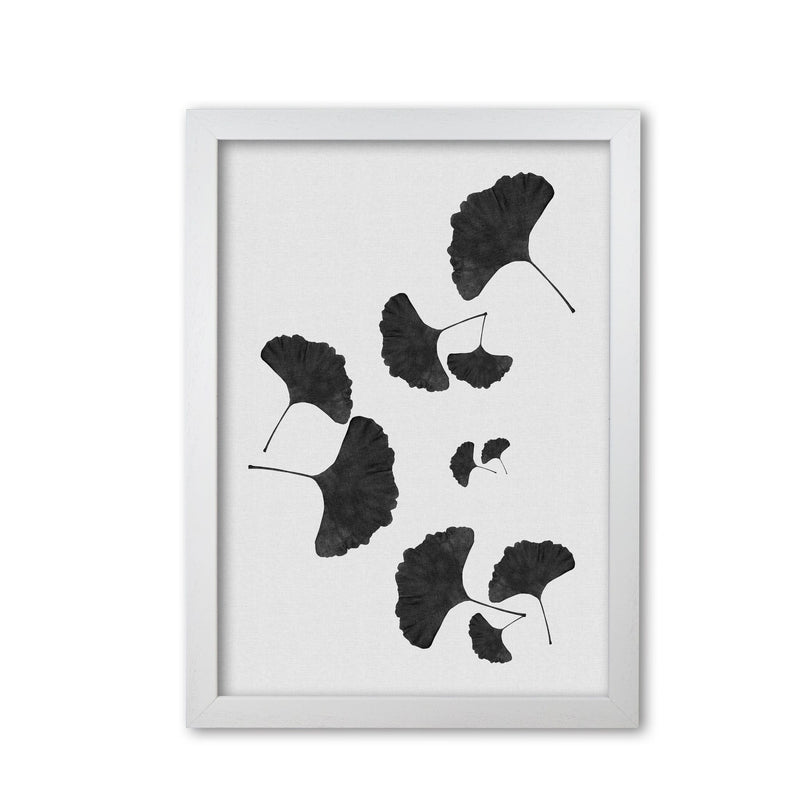 Ginkgo leaf black &