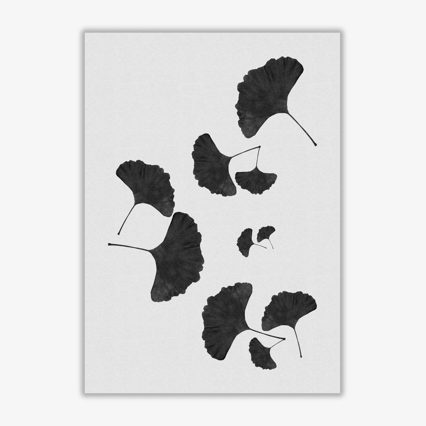 Ginkgo leaf black &#038; white i fine art print by orara studio
