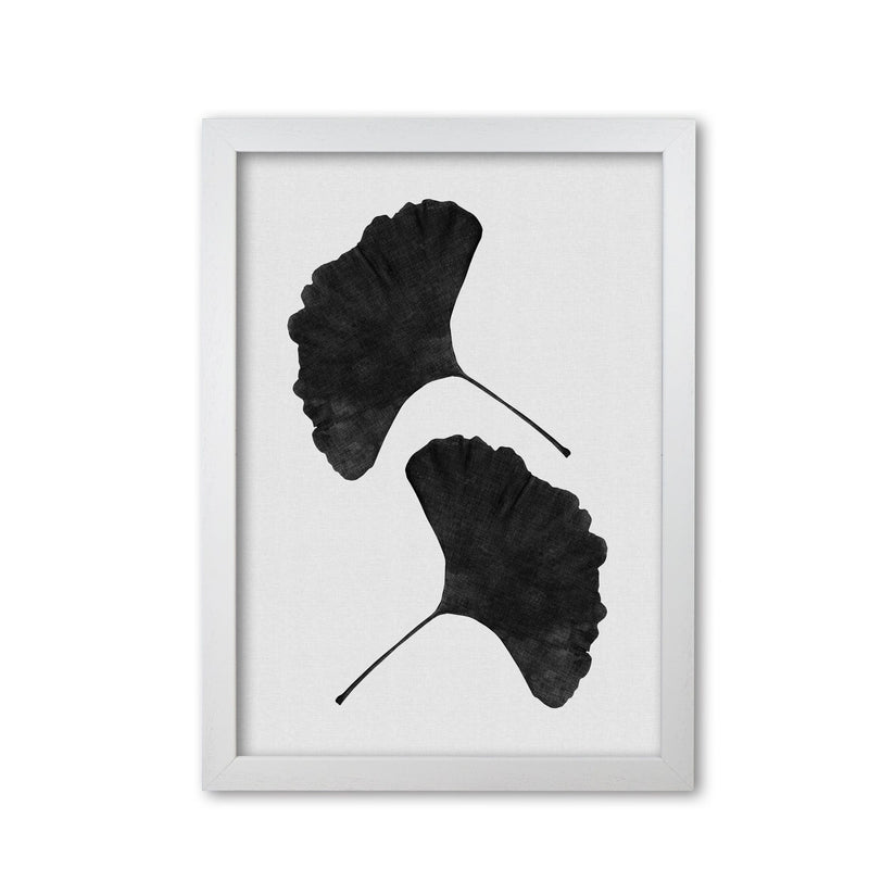 Ginkgo leaf black &