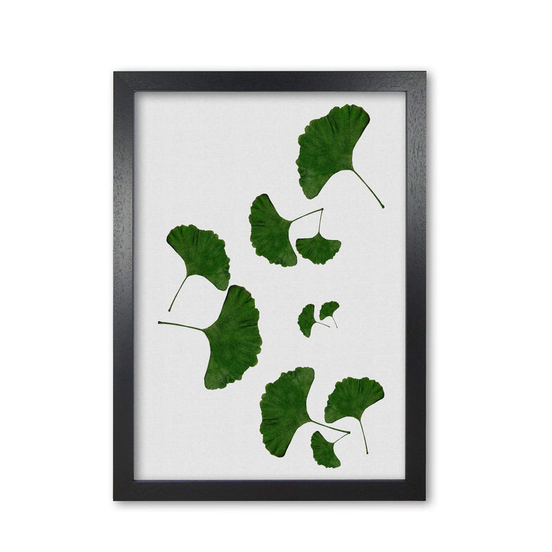 Ginkgo leaf i fine art print by orara studio, framed botanical &