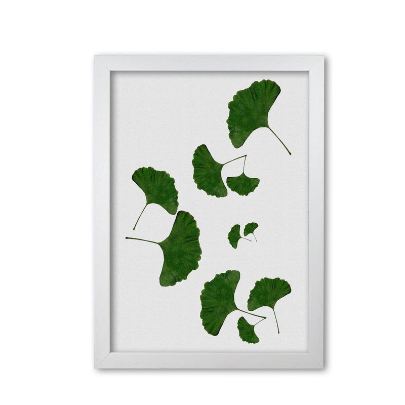 Ginkgo leaf i fine art print by orara studio, framed botanical &