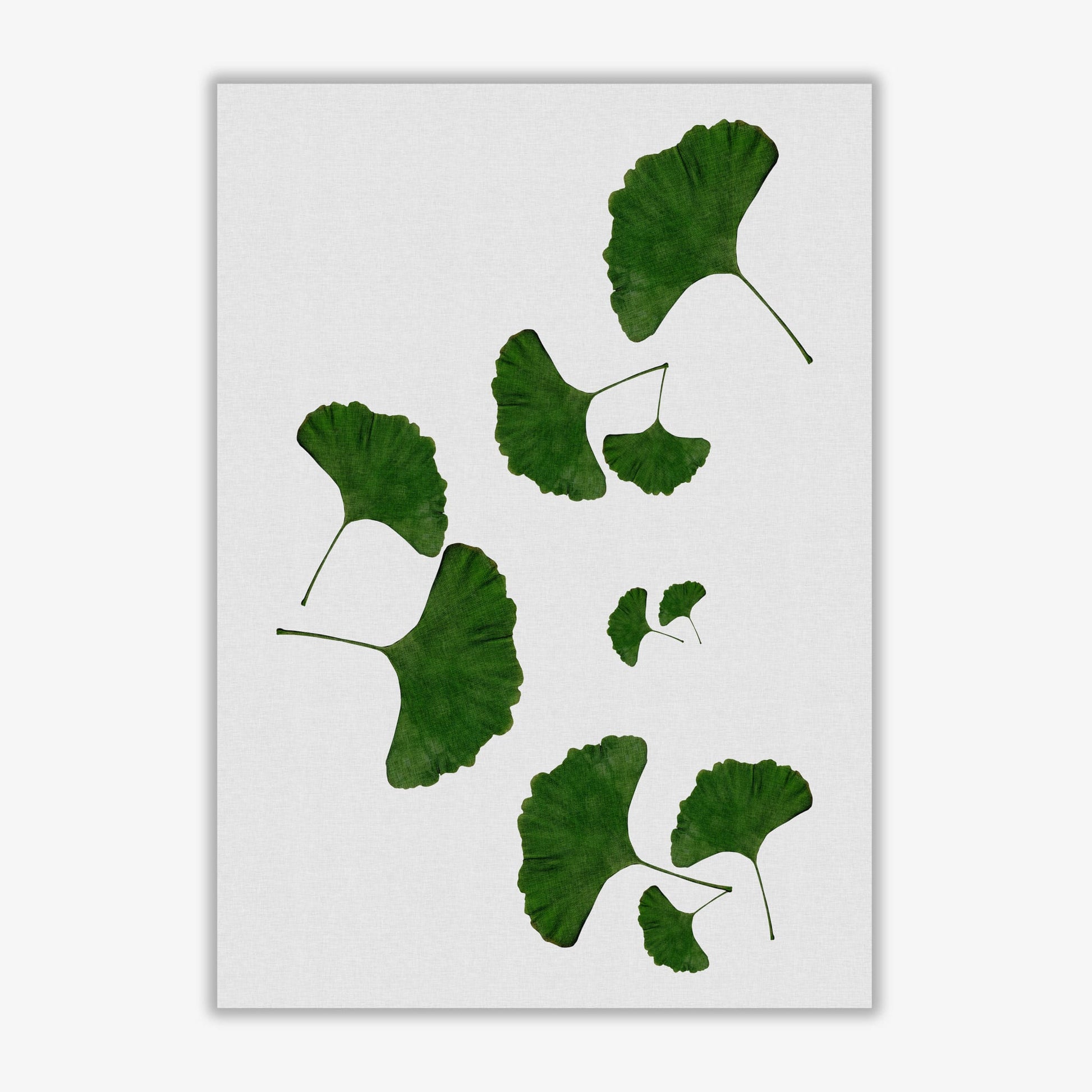 Ginkgo leaf i fine art print by orara studio, framed botanical &#038; nature art print