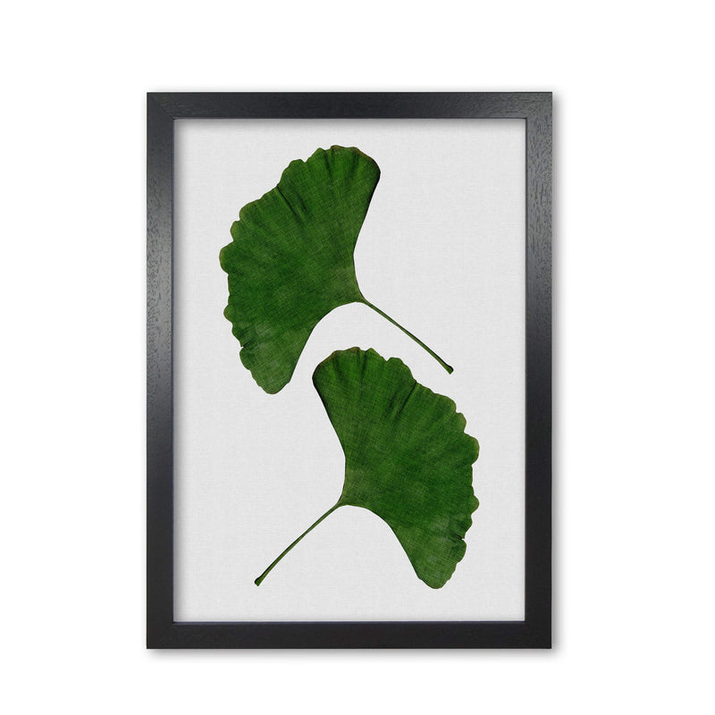 Ginkgo leaf ii fine art print by orara studio, framed botanical &