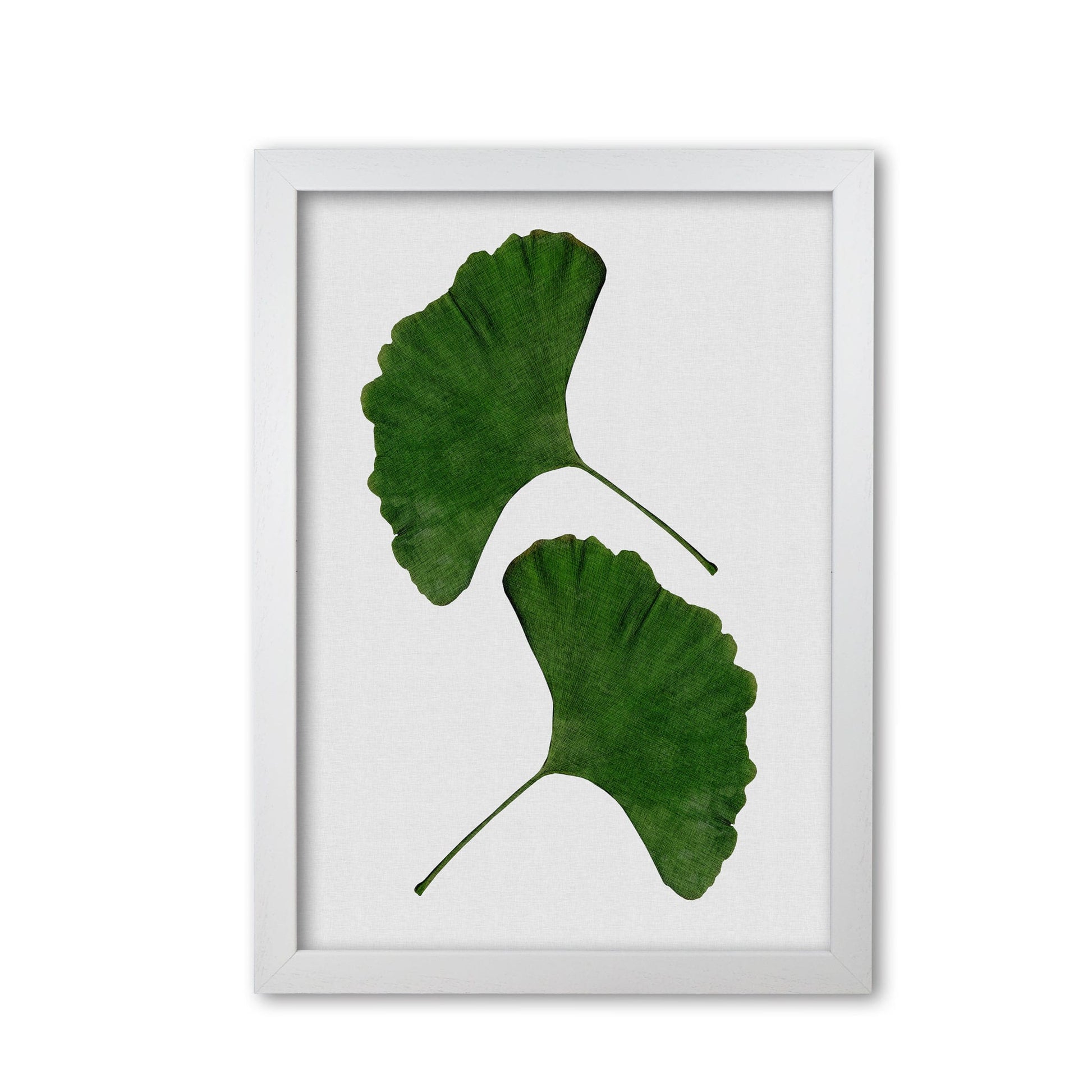 Ginkgo leaf ii fine art print by orara studio, framed botanical &#038; nature art print