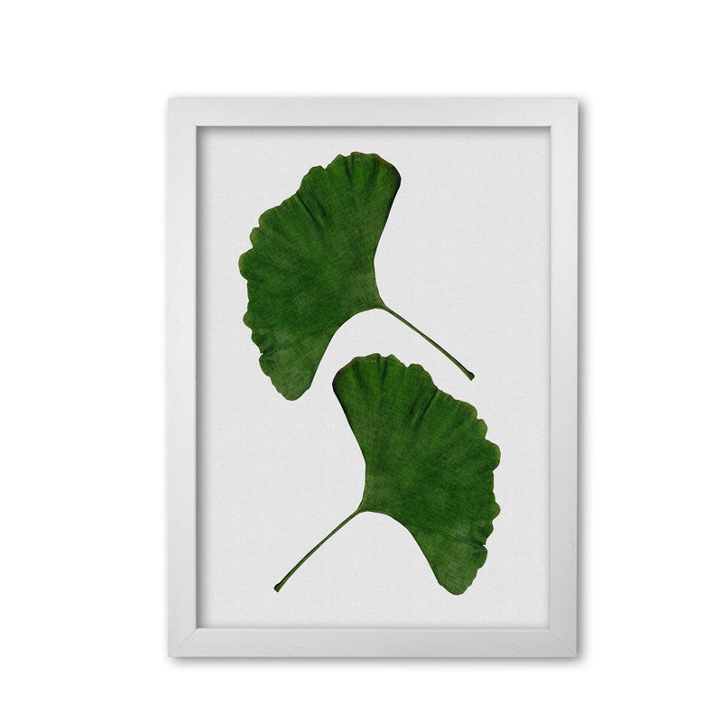 Ginkgo leaf ii fine art print by orara studio, framed botanical &