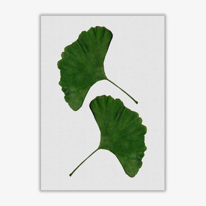Ginkgo leaf ii fine art print by orara studio, framed botanical &#038; nature art print