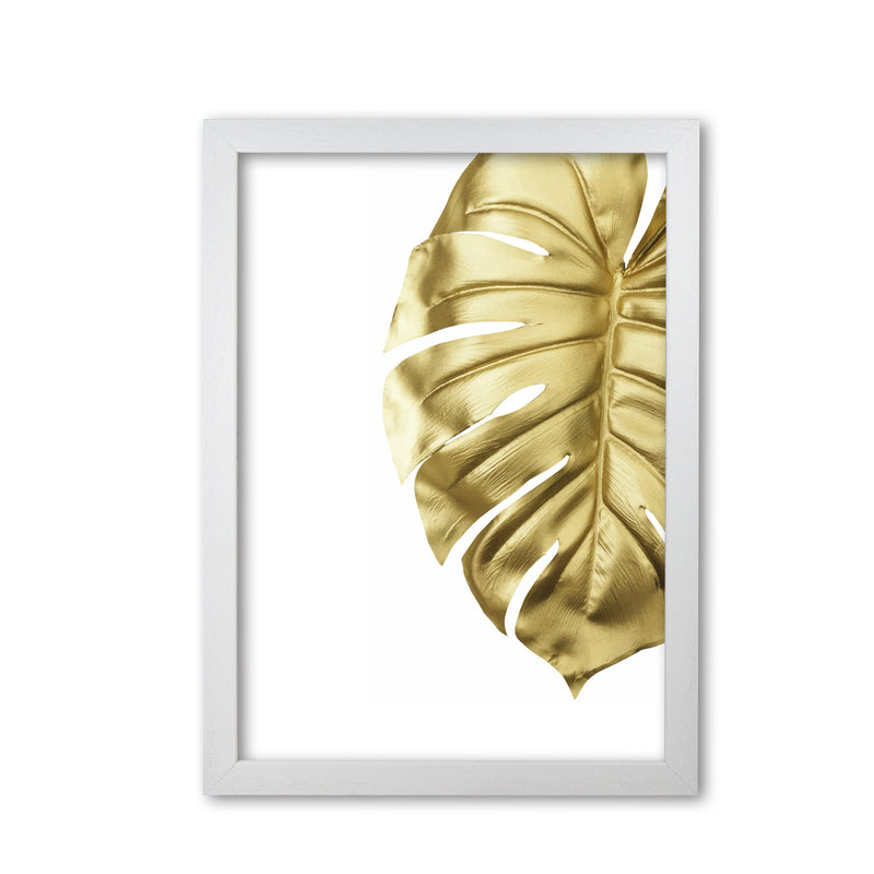 Gold monstera modern fine art print, framed botanical &