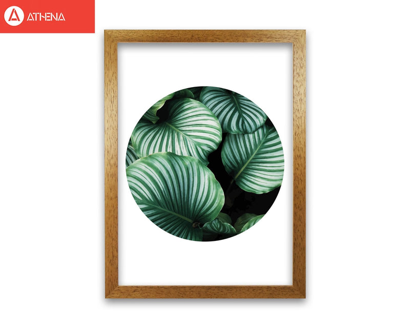 Green leaves circle modern fine art print, framed botanical &