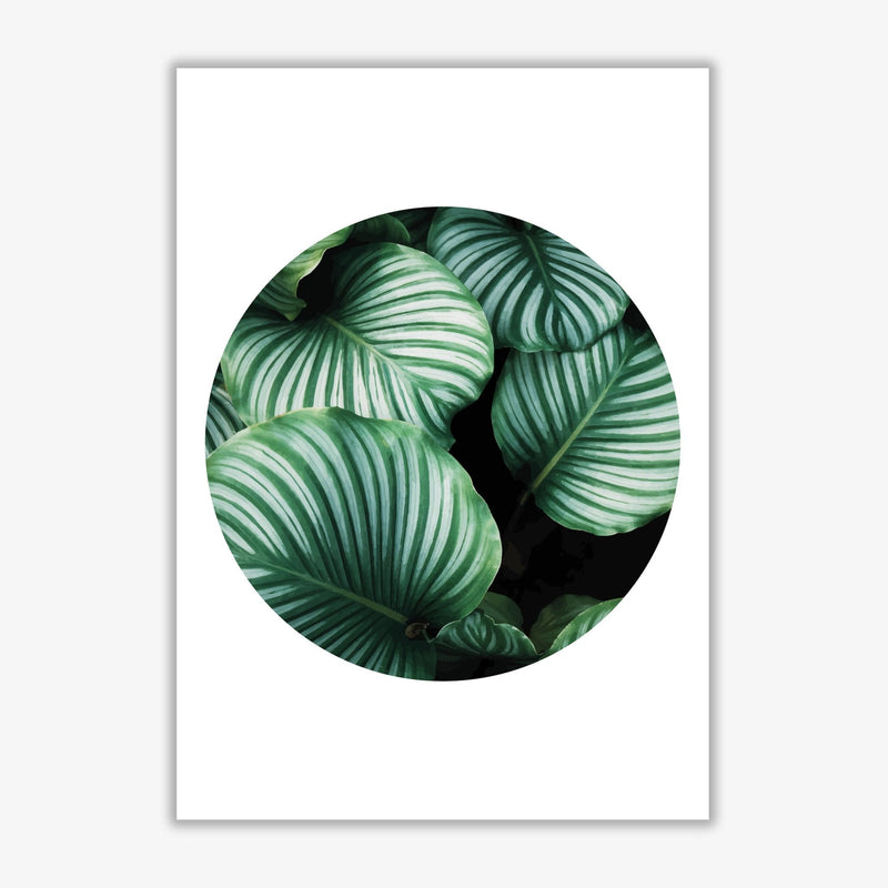 Green leaves circle modern fine art print, framed botanical &