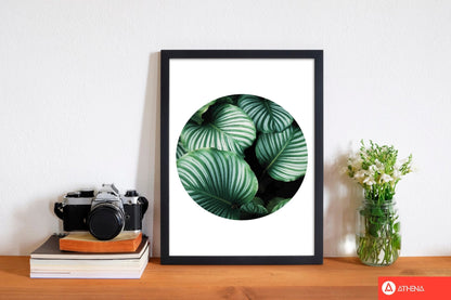 Green leaves circle modern fine art print, framed botanical &#038; nature art print