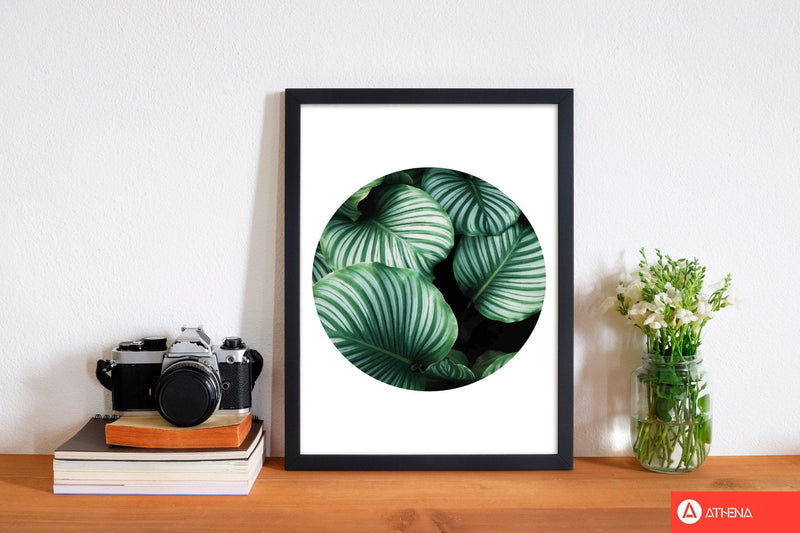 Green leaves circle modern fine art print, framed botanical &