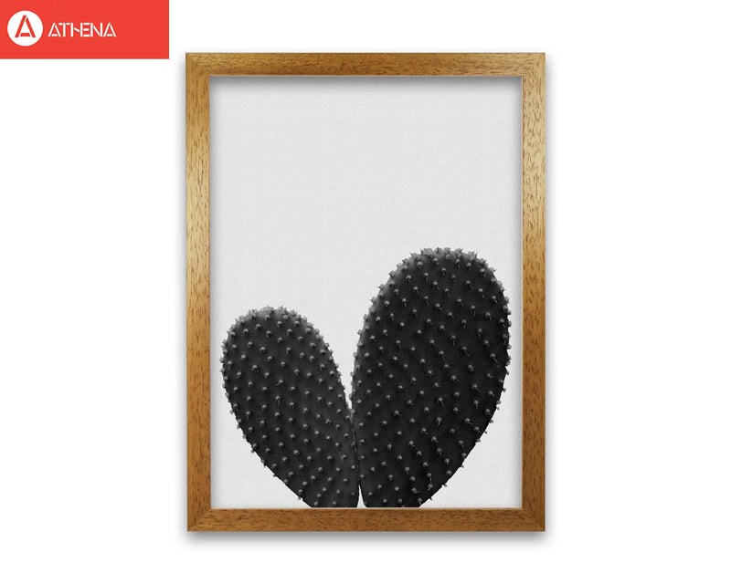 Heart cactus black &