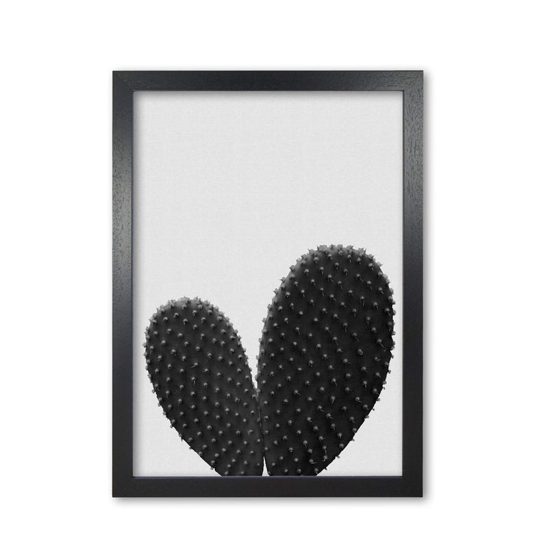 Heart cactus black &
