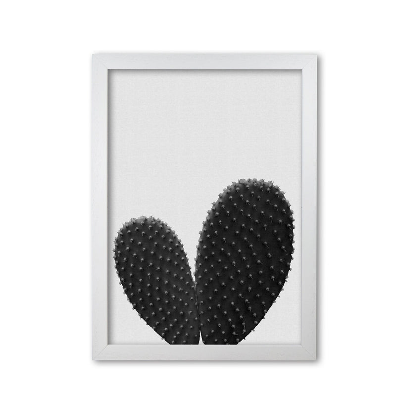 Heart cactus black &