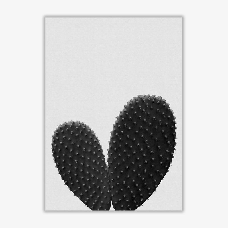 Heart cactus black &