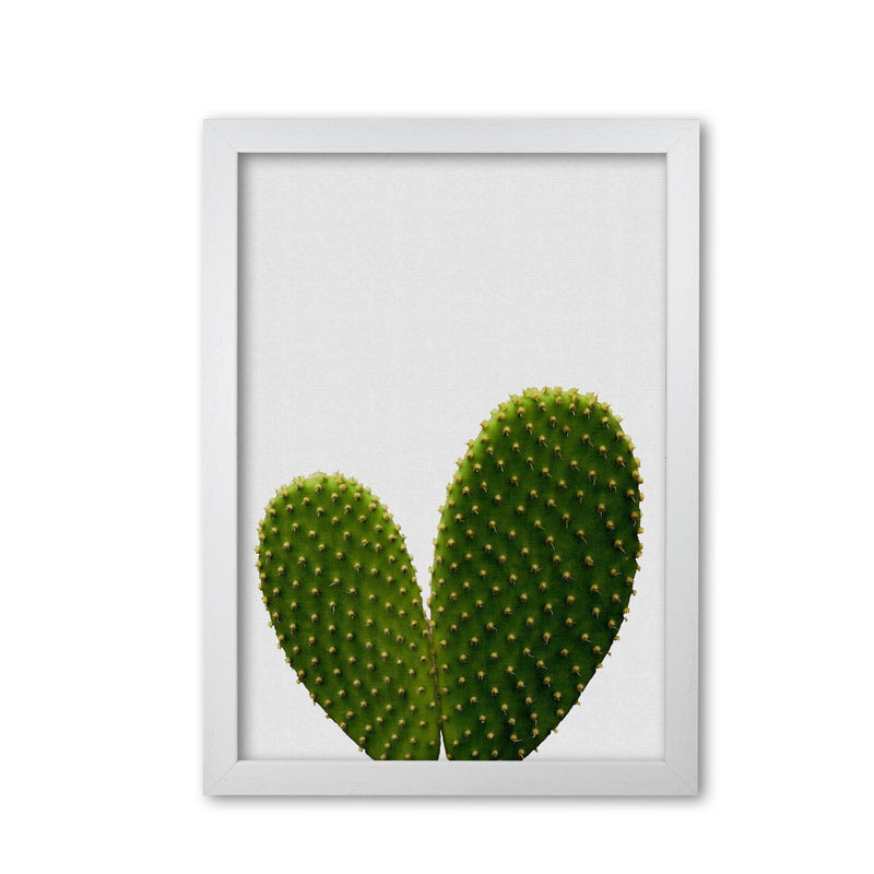 Heart cactus fine art print by orara studio, framed botanical &