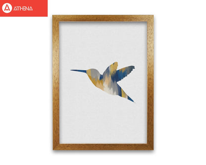 Hummingbird blue &#038; yellow i fine art print by orara studio
