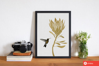 Hummingbird &#038; flower i fine art print by orara studio