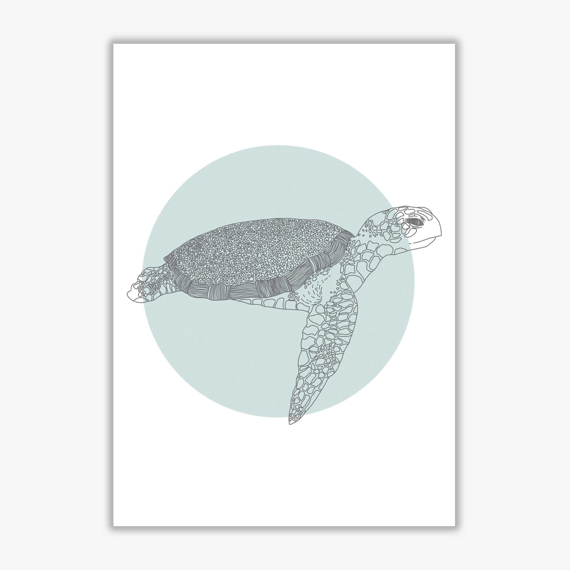 Marine animals turtle modern fine art print