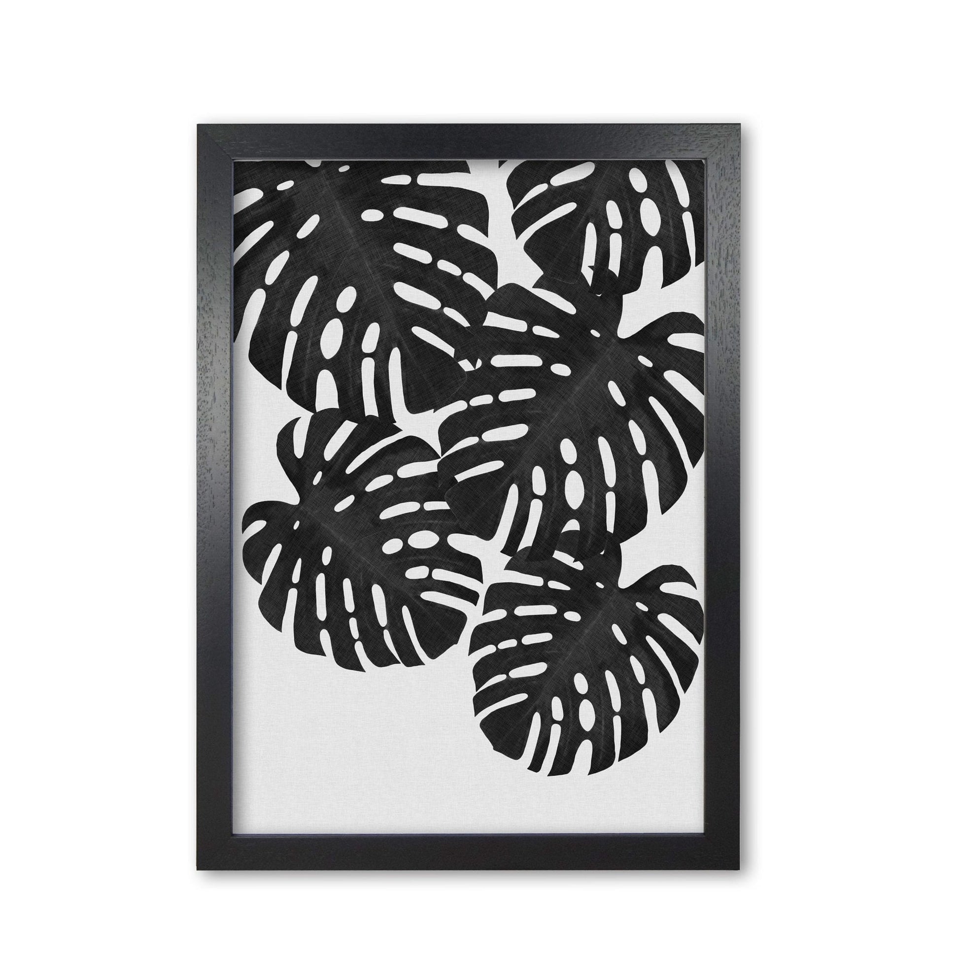 Monstera black &#038; white i fine art print by orara studio