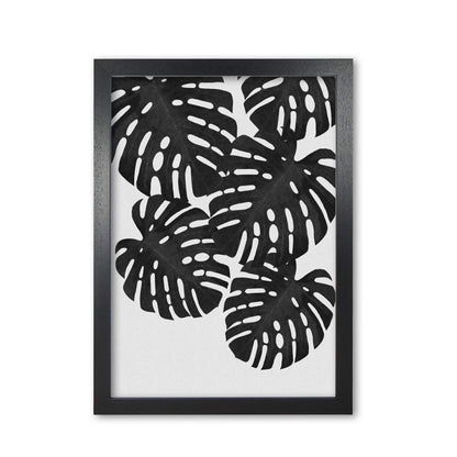 Monstera black &#038; white i fine art print by orara studio