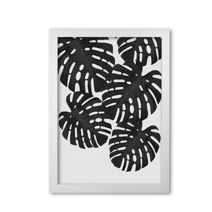 Monstera black &#038; white i fine art print by orara studio
