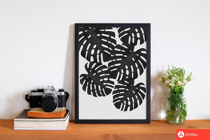 Monstera black &