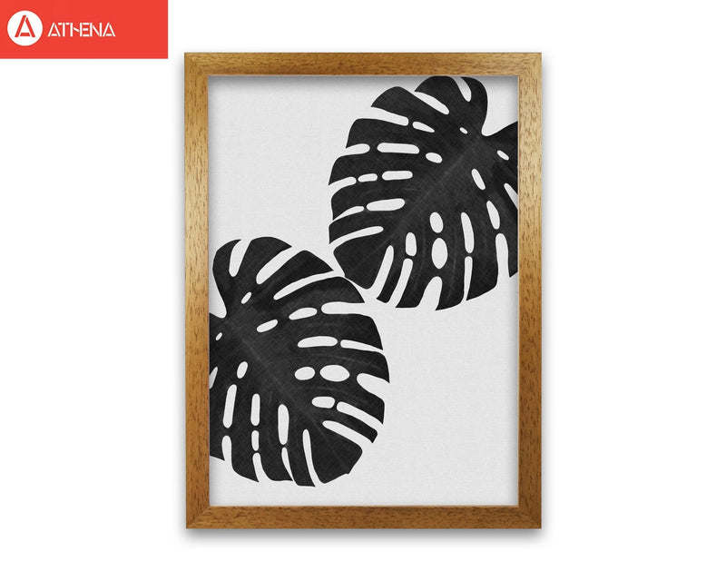 Monstera black &