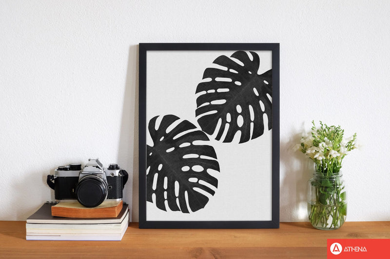 Monstera black &