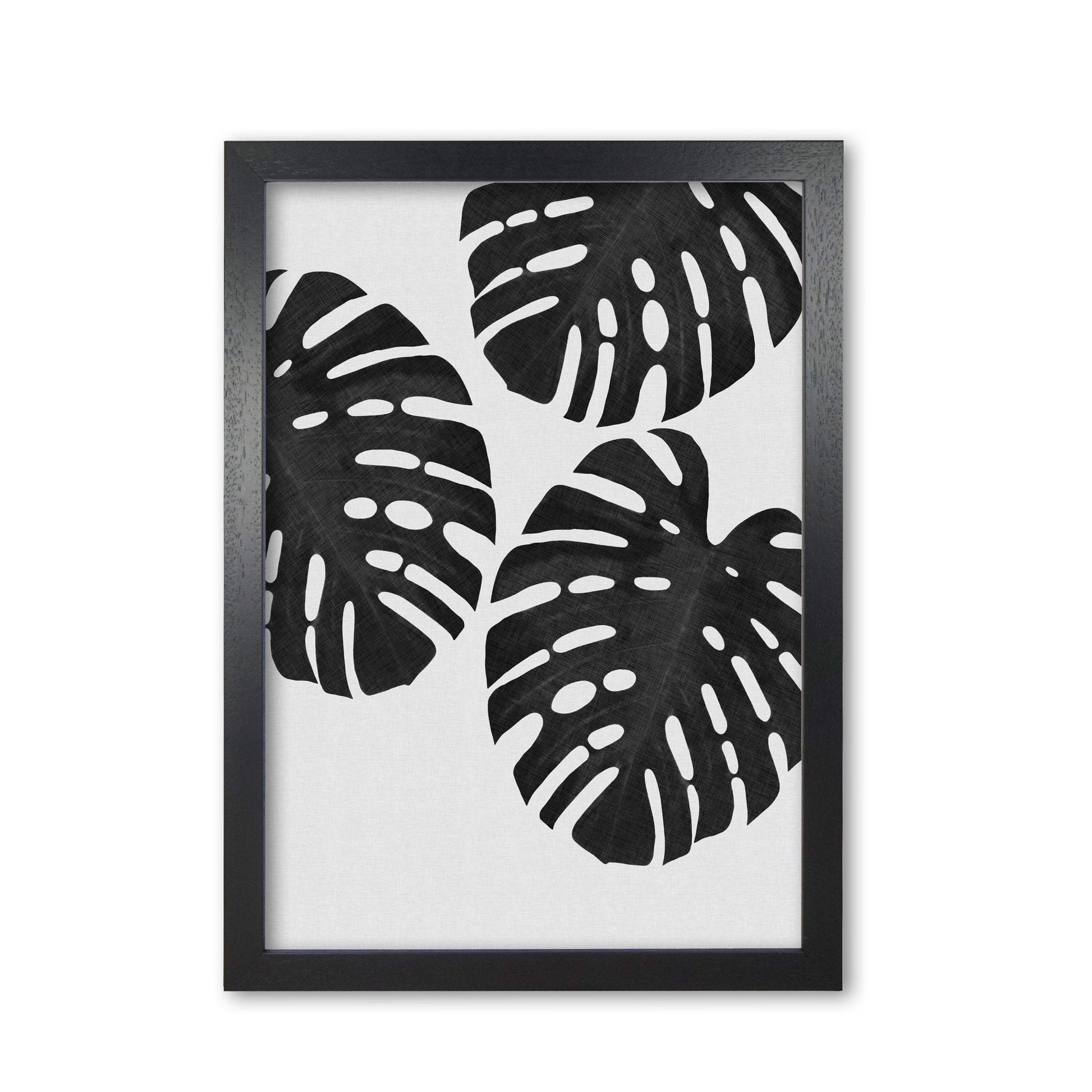 Monstera black &#038; white iii fine art print by orara studio
