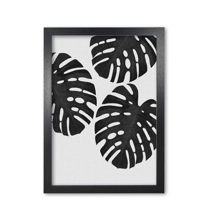 Monstera black &#038; white iii fine art print by orara studio