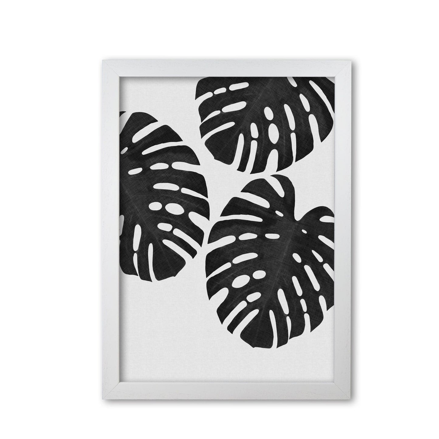 Monstera black &#038; white iii fine art print by orara studio