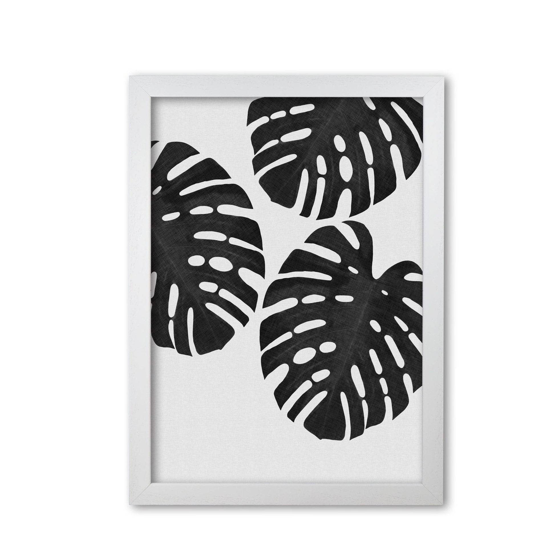 Monstera black &#038; white iii fine art print by orara studio