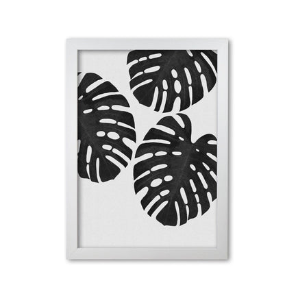 Monstera black &#038; white iii fine art print by orara studio