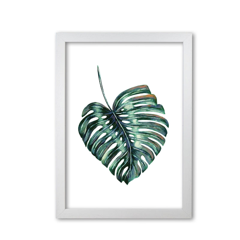 Monstera leaf full modern fine art print, framed botanical &