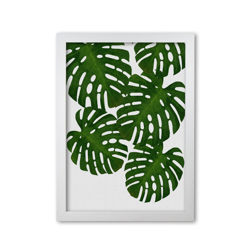 Monstera leaf i fine art print by orara studio, framed botanical &