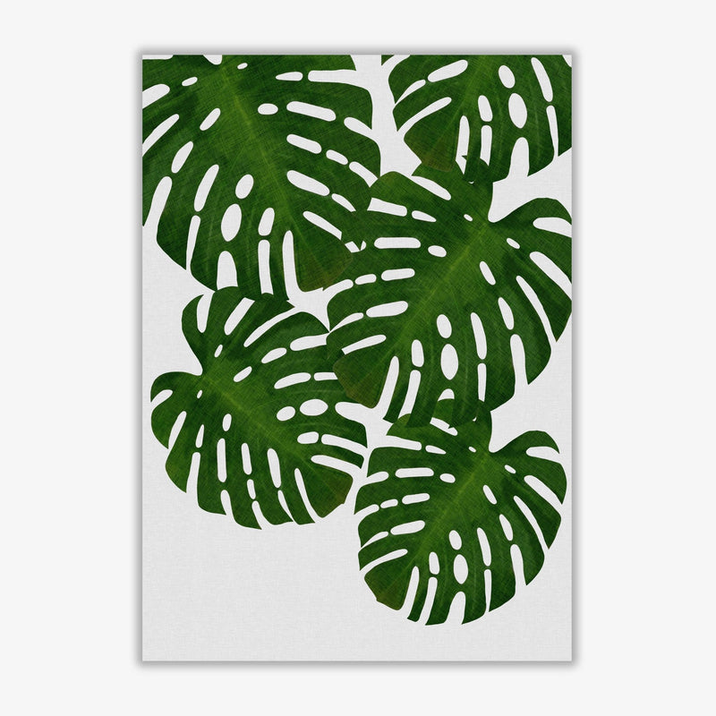 Monstera leaf i fine art print by orara studio, framed botanical &