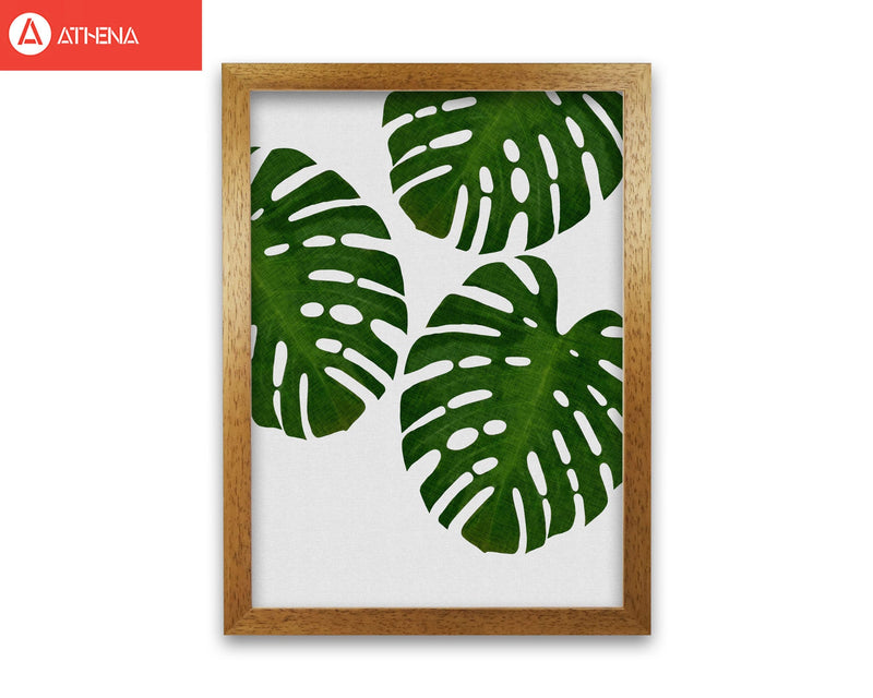 Monstera leaf iii fine art print by orara studio, framed botanical &