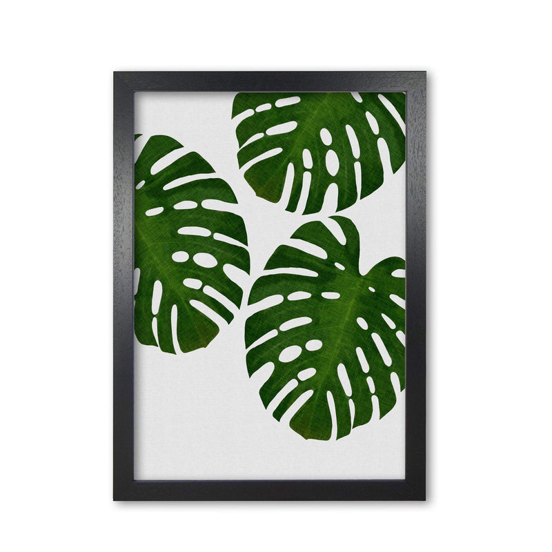 Monstera leaf iii fine art print by orara studio, framed botanical &
