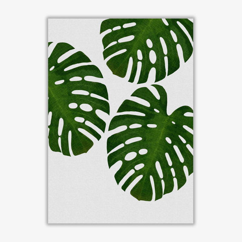 Monstera leaf iii fine art print by orara studio, framed botanical &