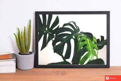 Monstera leaf landscape modern fine art print, framed botanical &#038; nature art print