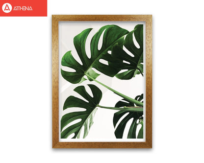 Monstera leaf modern fine art print, framed botanical &#038; nature art print