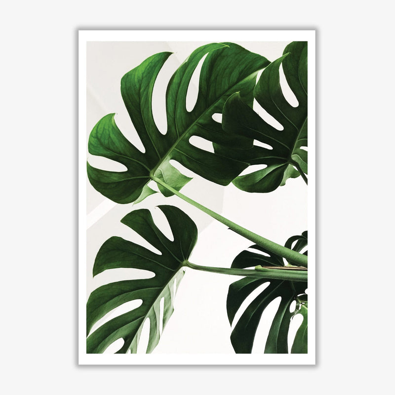 Monstera leaf modern fine art print, framed botanical &