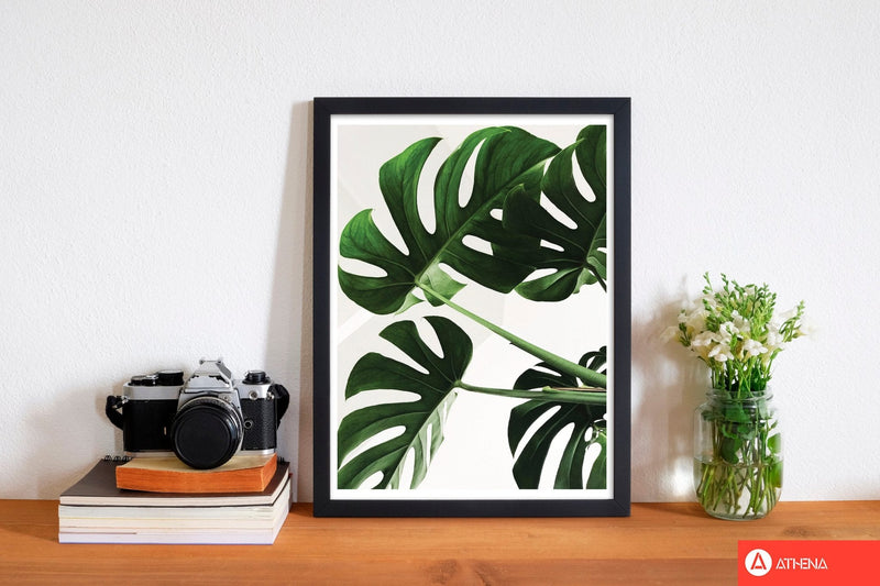 Monstera leaf modern fine art print, framed botanical &