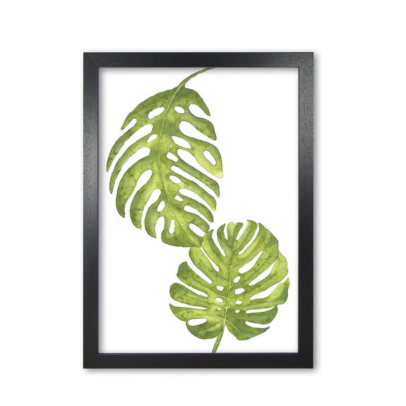 Monstera leaf modern fine art print, framed botanical &