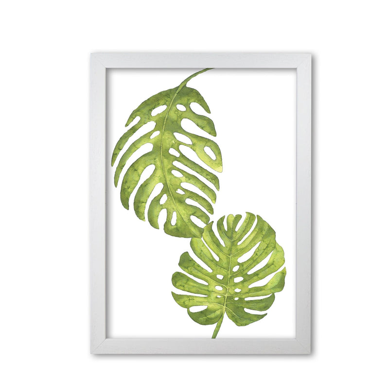 Monstera leaf modern fine art print, framed botanical &