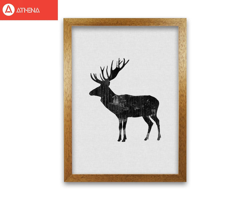 Moose animal art fine art print by orara studio