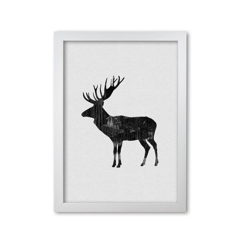 Moose animal art fine art print by orara studio