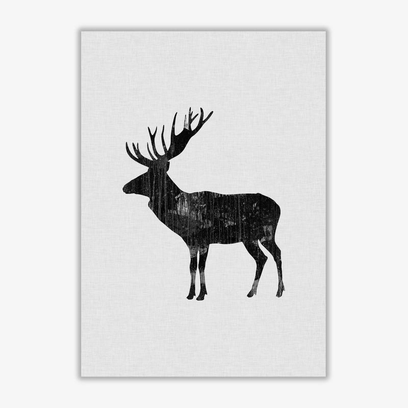 Moose animal art fine art print by orara studio